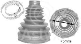 ASLYX AS501376 - KIT FUELLE L/CBO FOCUS-III 2.0D