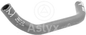 ASLYX AS509806 - MGTO DE BRIDA A INTERCB GASES