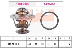 EPS 1880319 - TERMOSTATO EPS