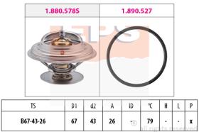 EPS 1880577 - TERMOSTATO EPS
