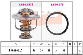 EPS 1880688 - TERMOSTATO EPS