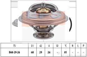 EPS 1880250S - TERMOSTATO EPS