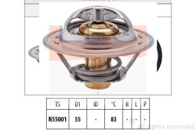 EPS 1880304S - TERMOSTATO EPS