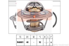 EPS 1880376S - TERMOSTATO EPS