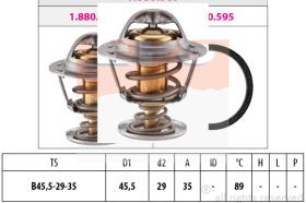 EPS 1880389S - TERMOSTATO EPS