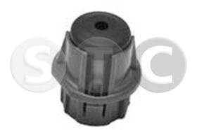 STC T442108 - MOLDURAS DE PROTECCION MEGANEIIII