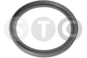 STC T479284 - JUNTA MGTO TURBO DUSTER