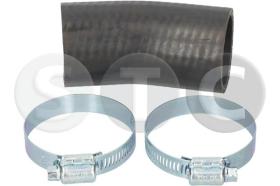 STC T494384 - MGTO TURBO LEON