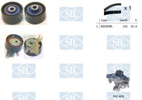 SALERI K1PA1460 - KIT DIST.C/BOMBA SIL