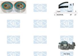 SALERI K1PA1463 - KIT DIST.C/BOMBA SIL