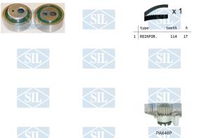 SALERI K1PA648P - KIT DIST.C/BOMBA SIL