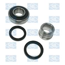 SALERI WB11760 - KIT RUEDA SIL